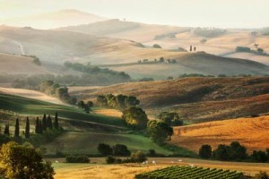 Tuscany Countryside