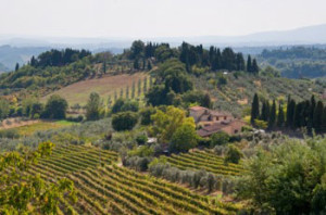 Chianti Countryside