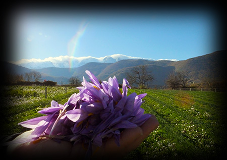 Abruzzo Enduring Traditions Tour Travel